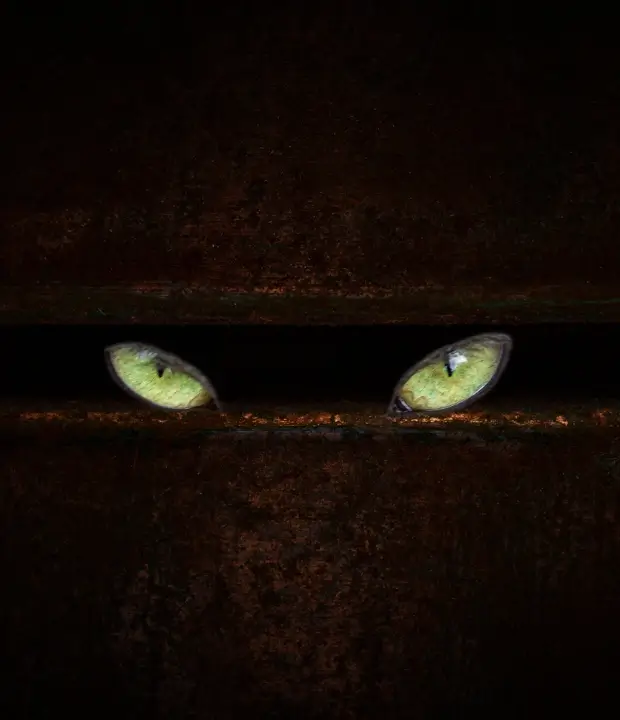 Couper le Mal à la Racine